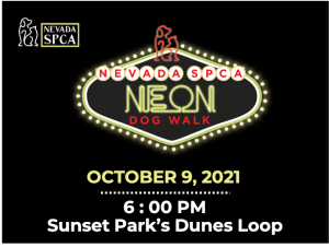 Nevada SPCA Neon Dog Walk