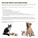 Nevada SPCA Calendar 2022