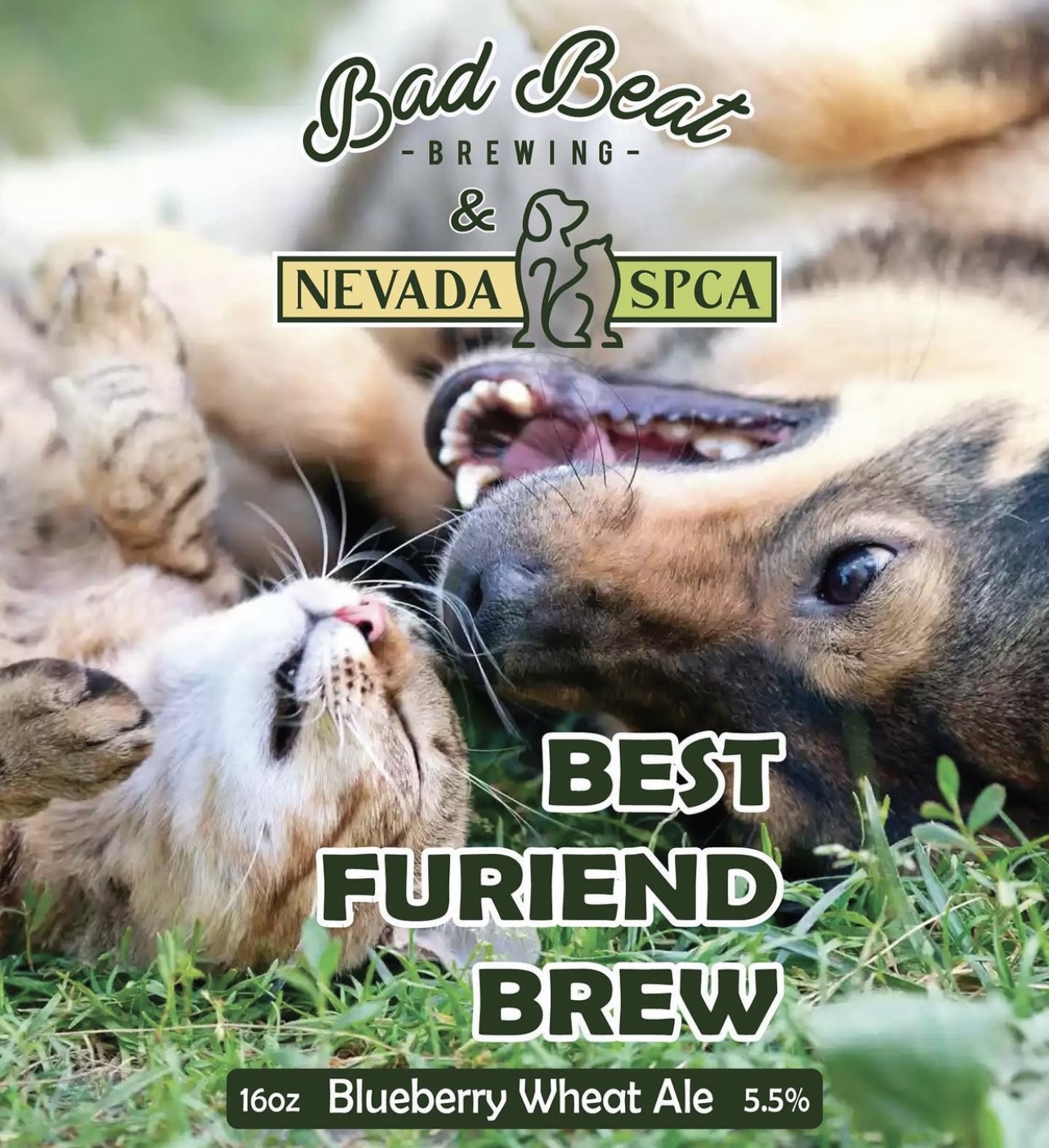 Best Furiend Brew release & adoption event – Nevada Society for the  Prevention of Cruelty to Animals