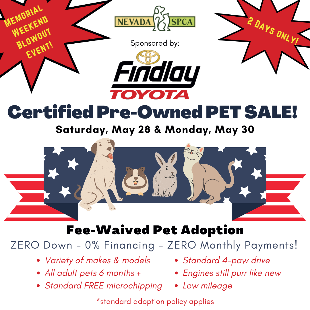 Pet adoption event coming to Empire Ford