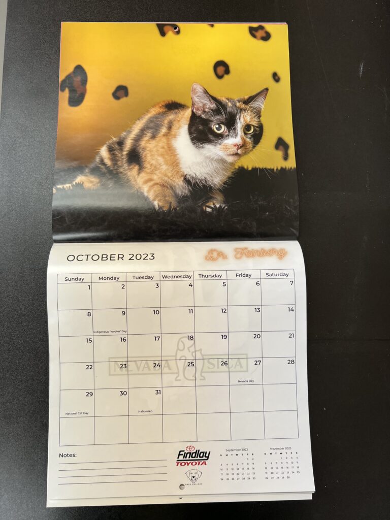 Nevada SPCA Calendar 2023