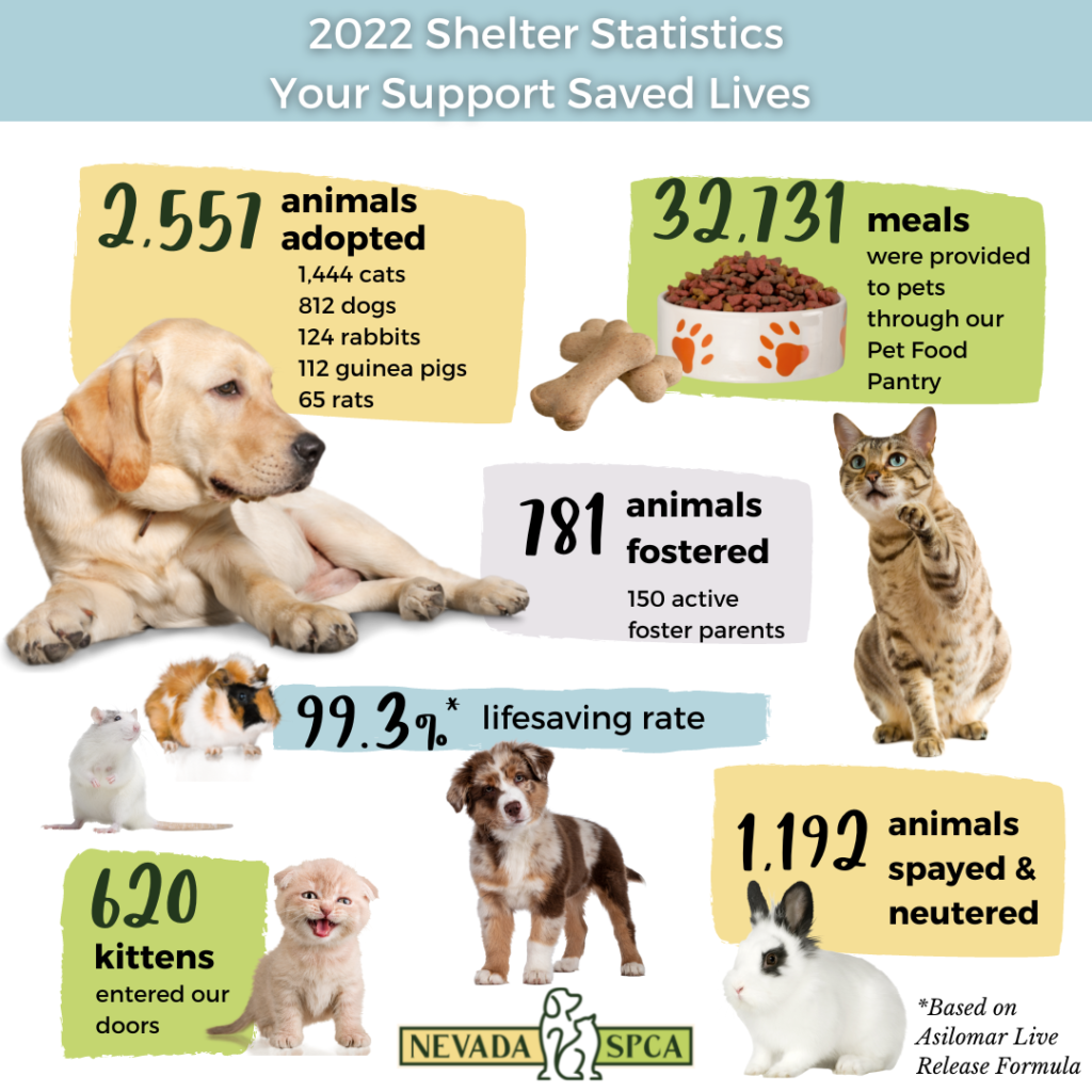 2022 Shelter Statistics Nevada Society for the Prevention of Cruelty