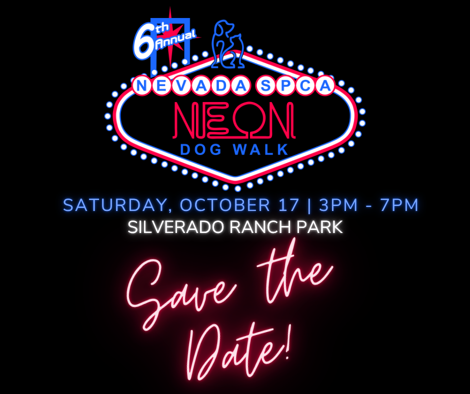 Nevada SPCA 6th Annual Neon Dog Walk