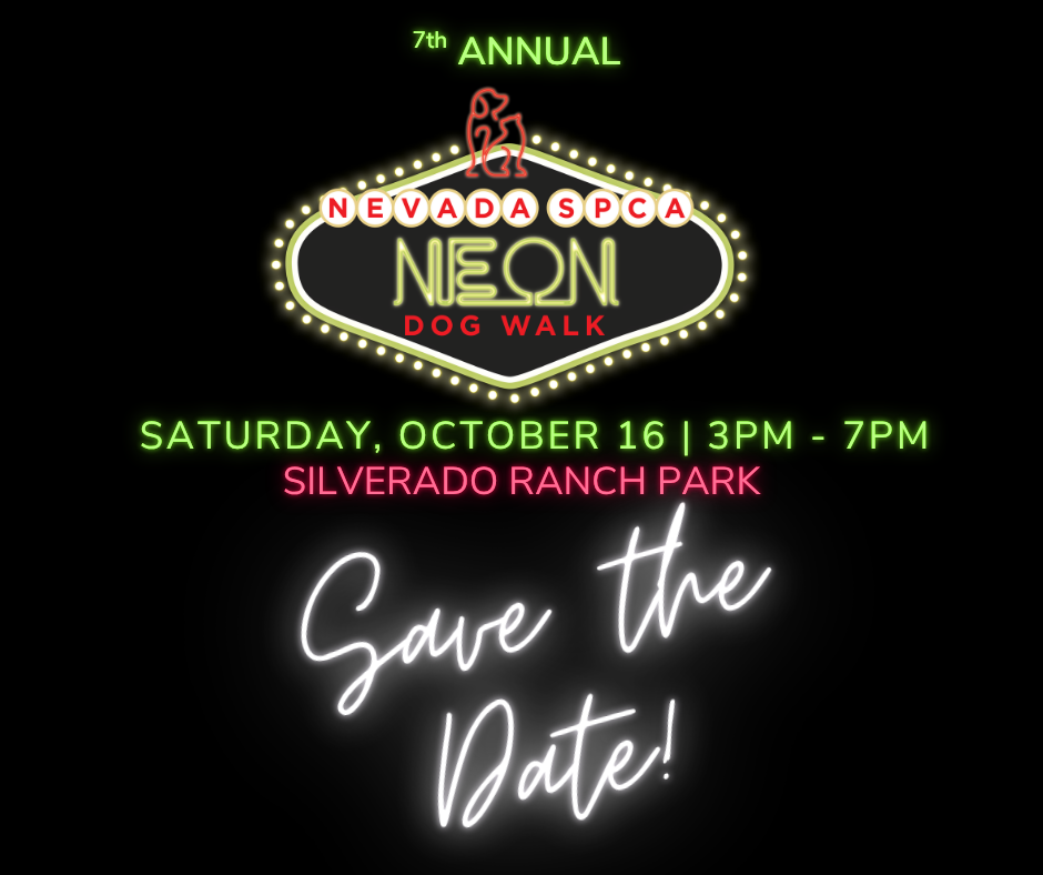 7th Annual Neon Dog Walk