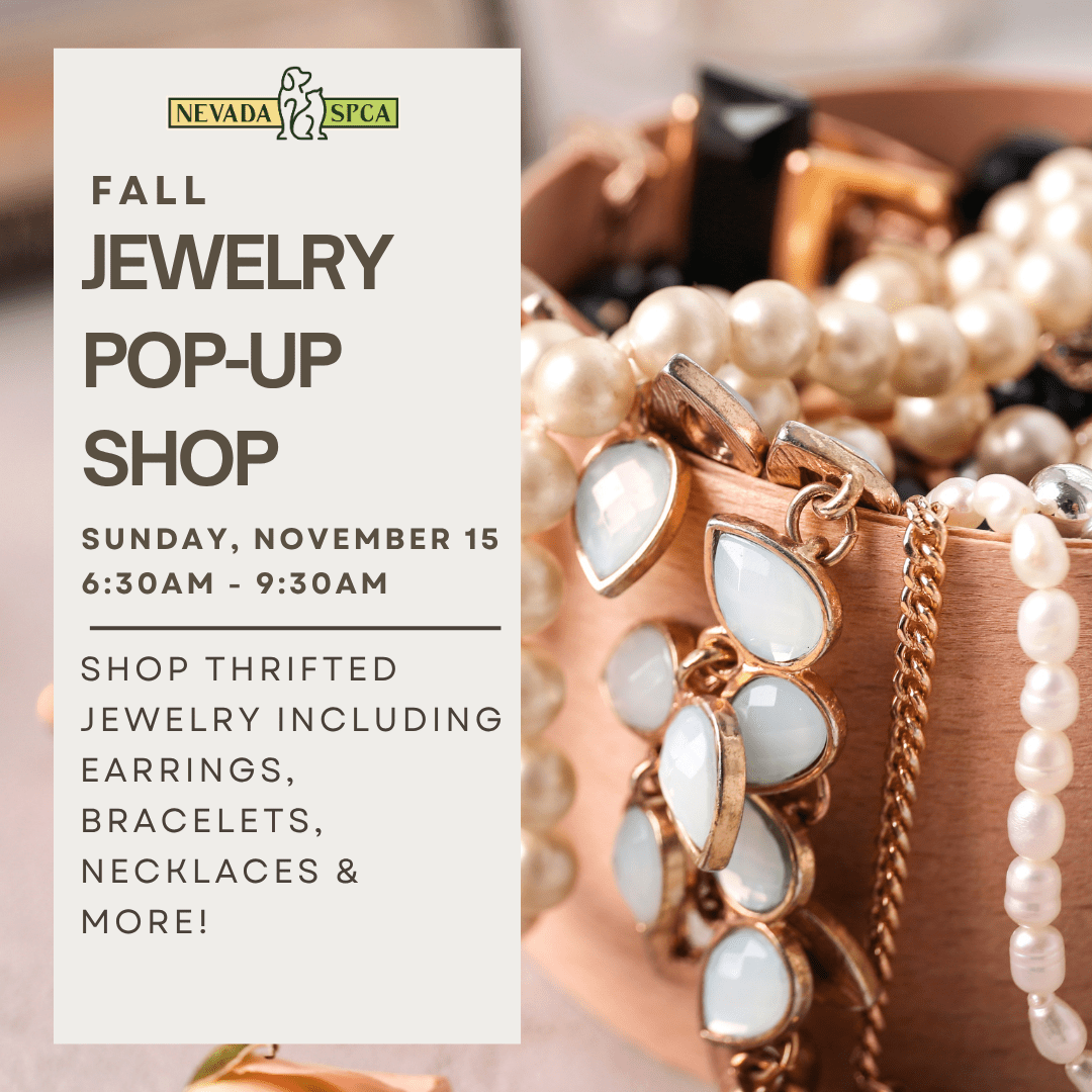 Fall Jewelry Pop-Up Shop
